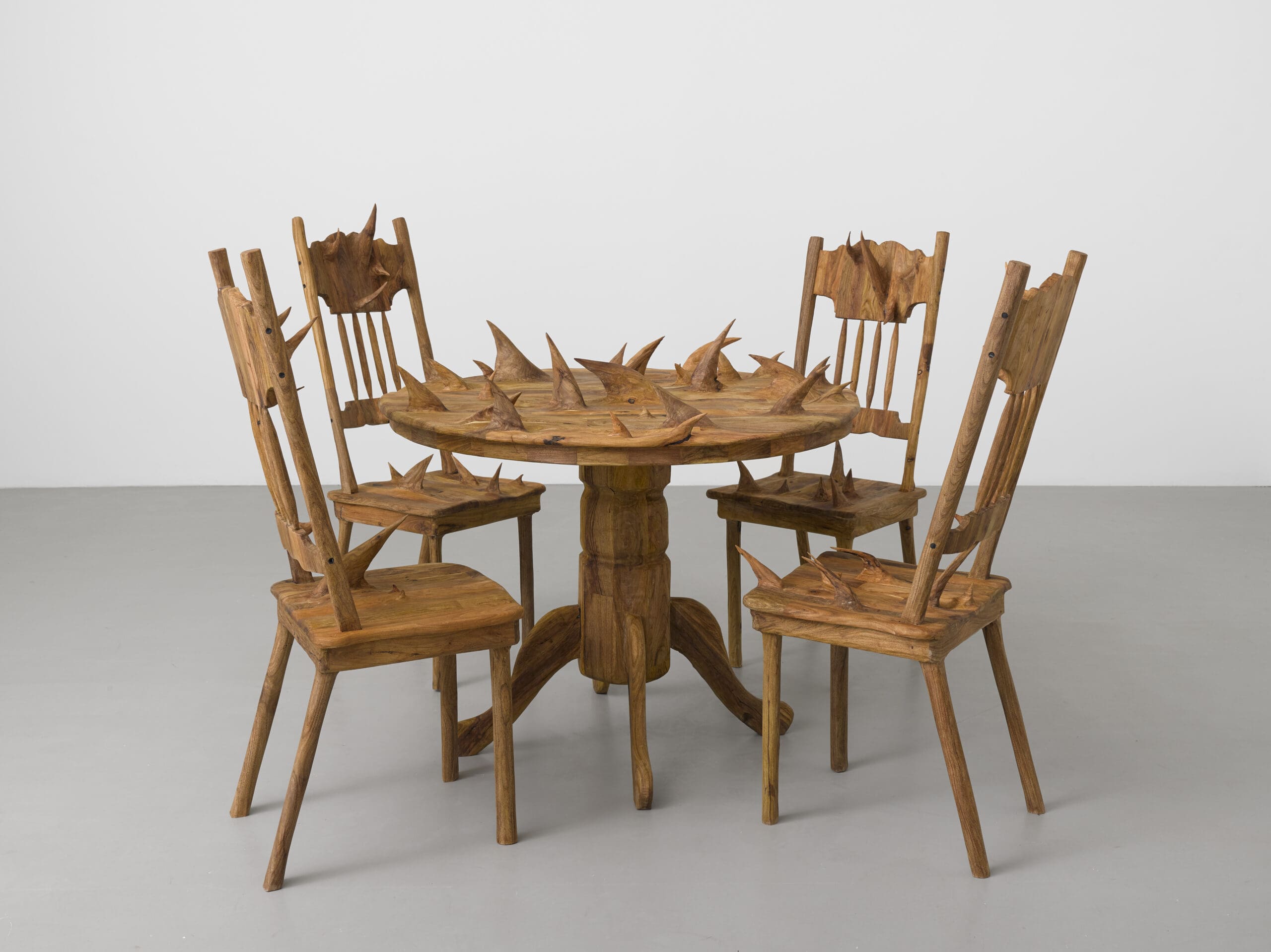 Hugh Hayden Nasher Dallas art exhibits