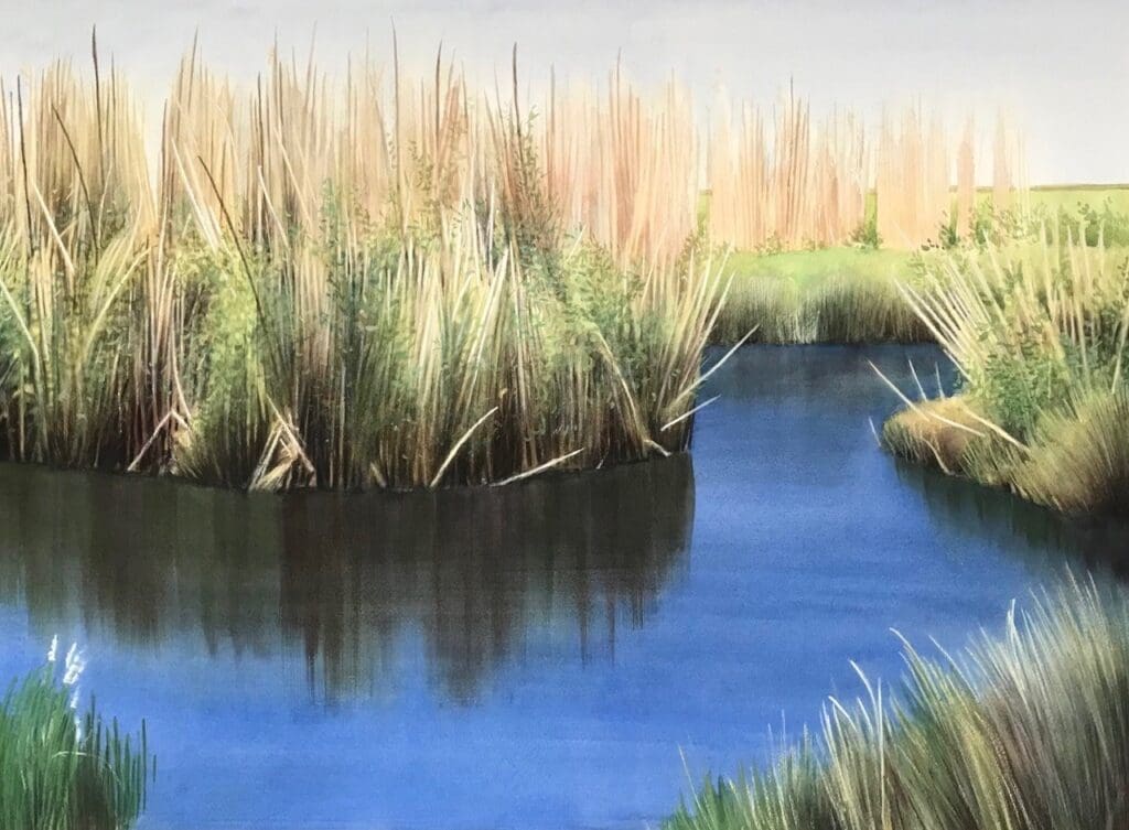 Ken Mazzu’s "Marshland #17," watercolor, 22”x30”, 2024 (Photo courtesy of MFAH)