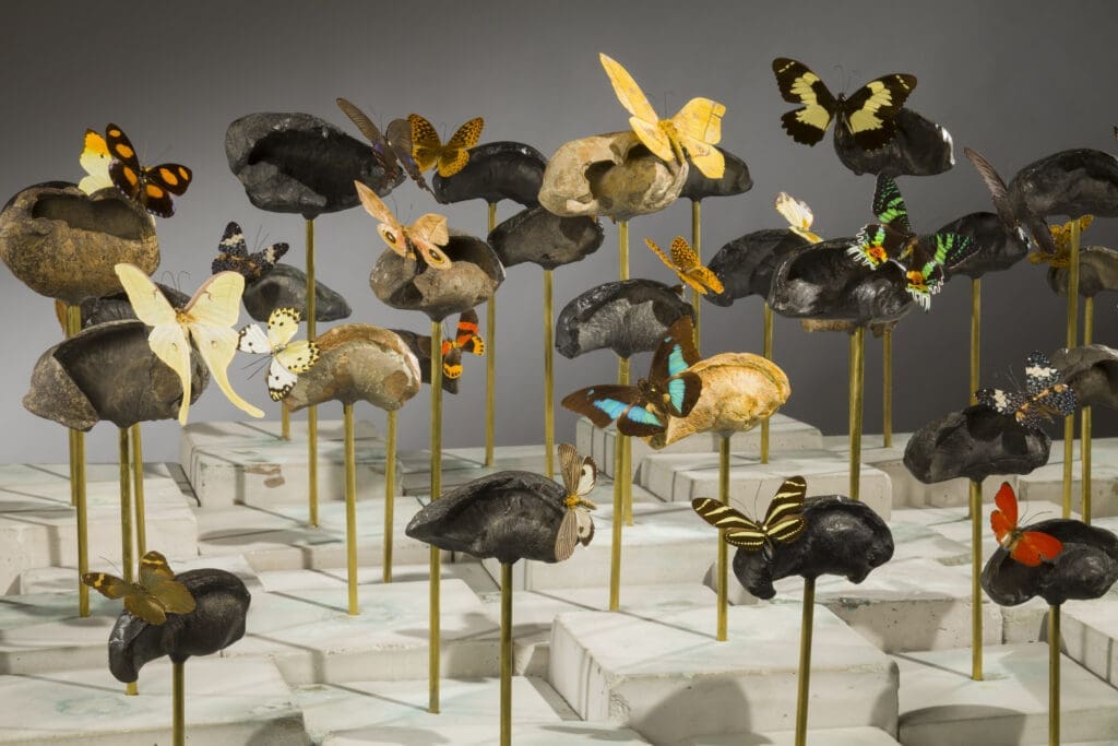 Bob Dylan, Prehistoric Whale Bones and Space Aliens — Artist Dario Robleto Weaves the Impossible Into Art In Fort Worth