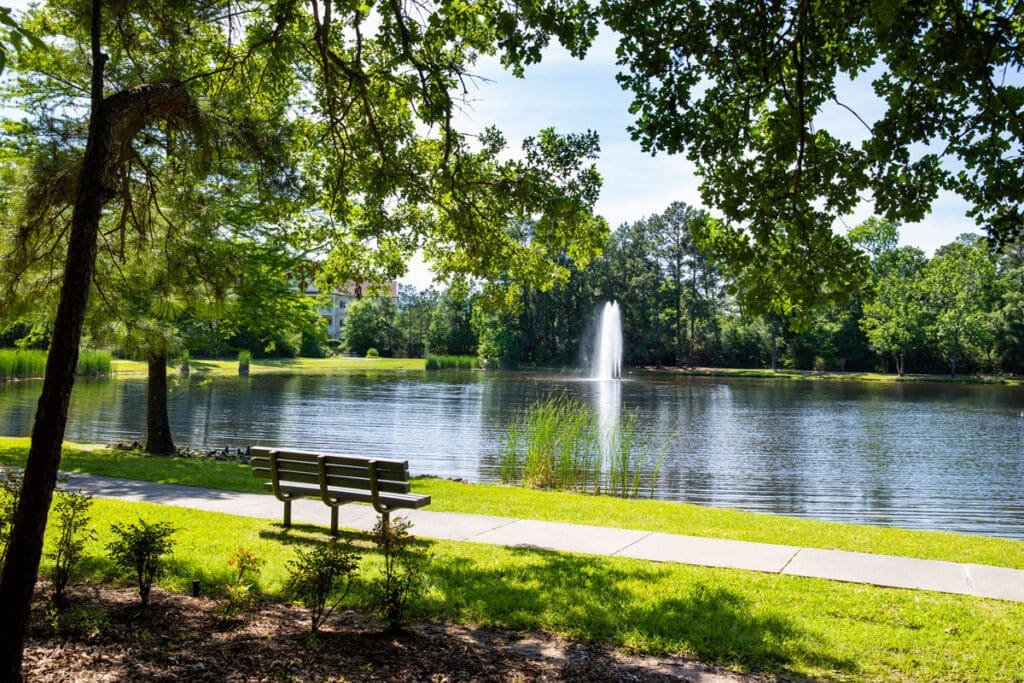A Land Where Nature Is Treasured — The Woodlands’ Early Start On Sustainability Continues 50 Years Later