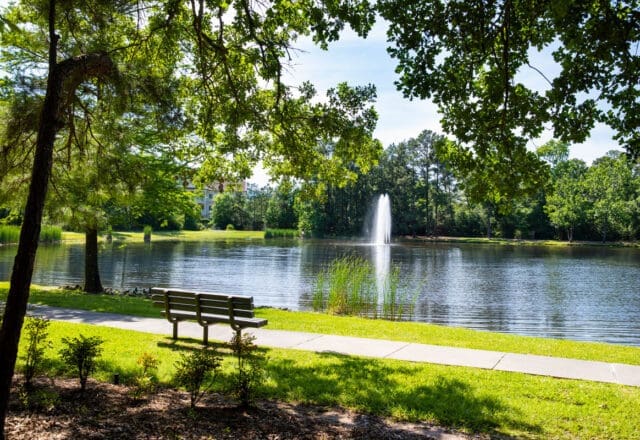 The Woodlands sustainability vision involves maintaining the natural systems as much as possible, the way things were prior to development through development. 
