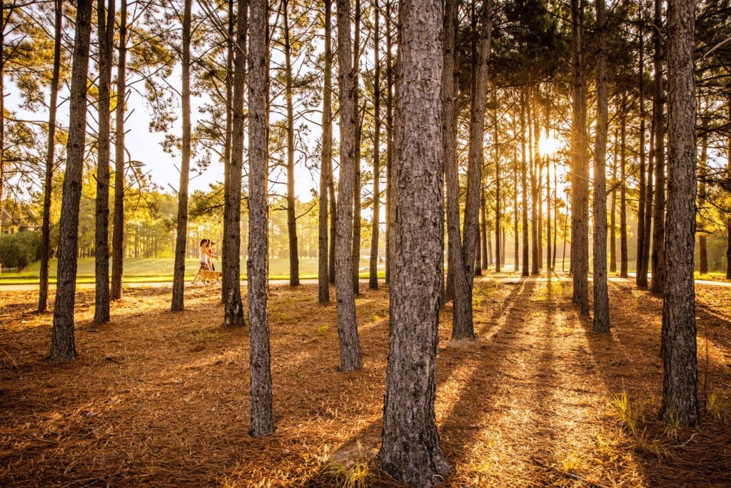 George and Cynthia Mitchell loved nature and The Woodlands encompasses its beauty with 151 parks in our community today.