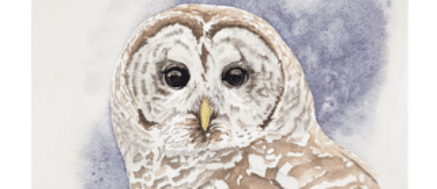 This watercolor work by Allan Ginsburg will be raffled by Ardest Gallery to raise funds for the Friends of Texas Wildlife. (Courtesy Ardest Gallery)