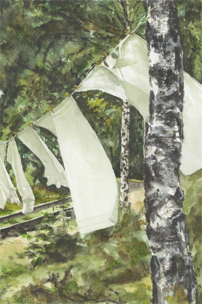 Curtis painted the scene of laundry drying on a line in a birch forest in Maine in 2019. 