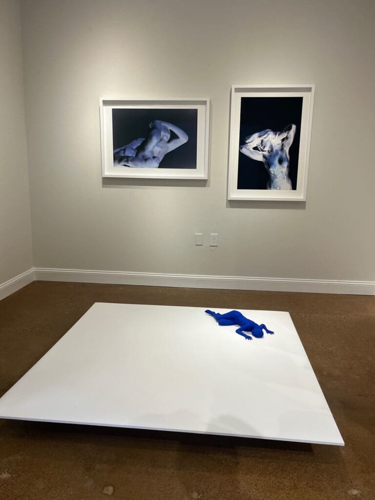 Installation view of "Objects of Desire" at Akim Monet Fine Arts in Dallas Design District