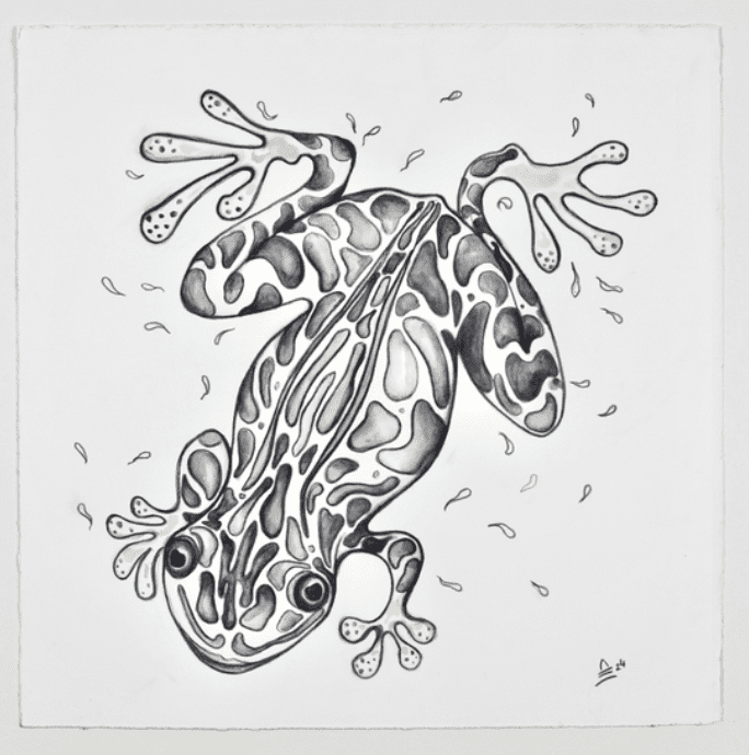 Naturalist sculptor Carter Ernst's graphite frog dares viewers to meet its gaze at Andrew Durham Gallery as part of the “Side by Side, 20 x 20: Honduras Threads” exhibition.