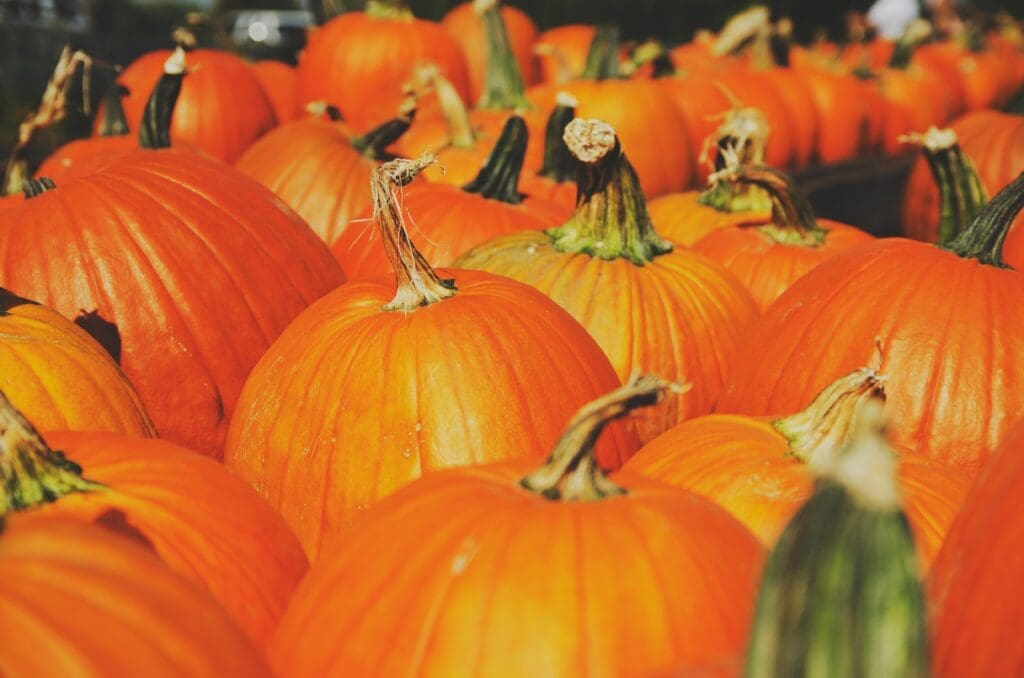 Fall fun means pumpkins. The Woodlands' Fall Festival, hosted by Howard Hughes, will have plenty of them.