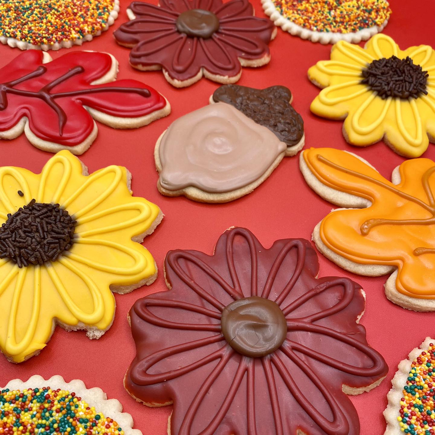 Blue Bonnet Bakery celebrates 90 years Fort Worth restaurant news