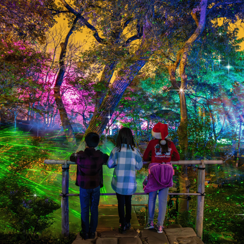 Lightscape is a magical stroll in the Fort Worth Botanic Garden.