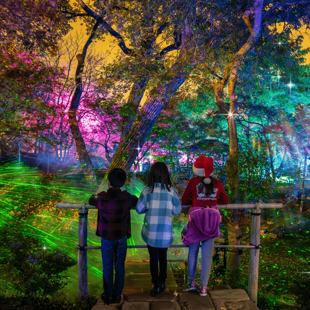 Lightscape at Fort Worth Botanic Garden best holiday events Fort Worth