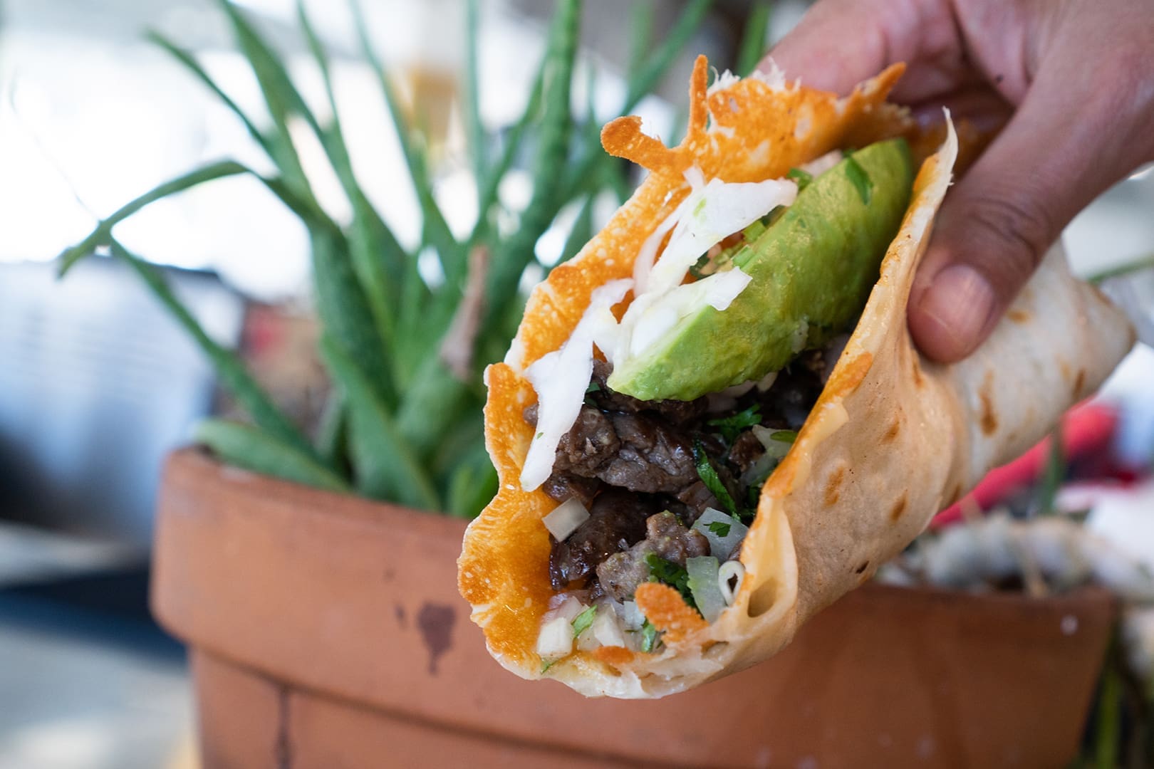 Salsa Limon is a Fort Worth favorite