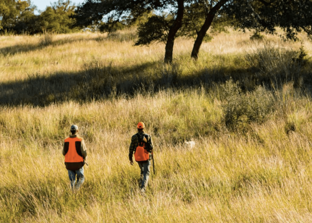 Quail hunting at Joshua Creek Ranch is integral to the Post Oak Hotel 'Sky to Table' package