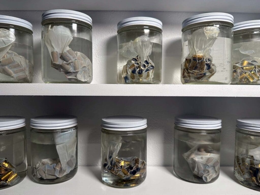 Detail of Bernardo Vallarino-Portela’s “Discharged Loads Specimens,” 2024, in "BAN THIS SHOW." (Courtesy of the artist)