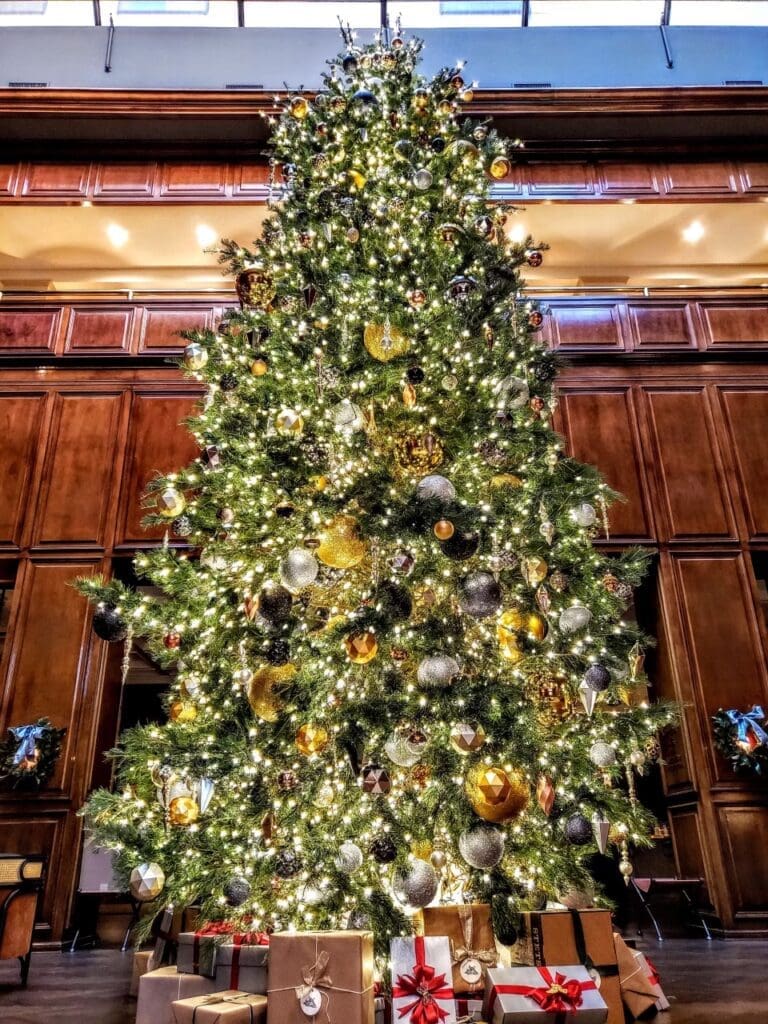 Cozy up by the fire and experience the magic of The Adolphus Hotel. 