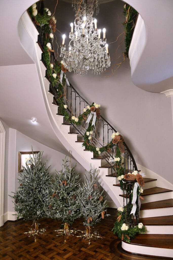 Petite welcoming Christmas trees at the Kappa Kappa Gamma Charitable Foundation home tour preview party(Photo by Dave Rossman)