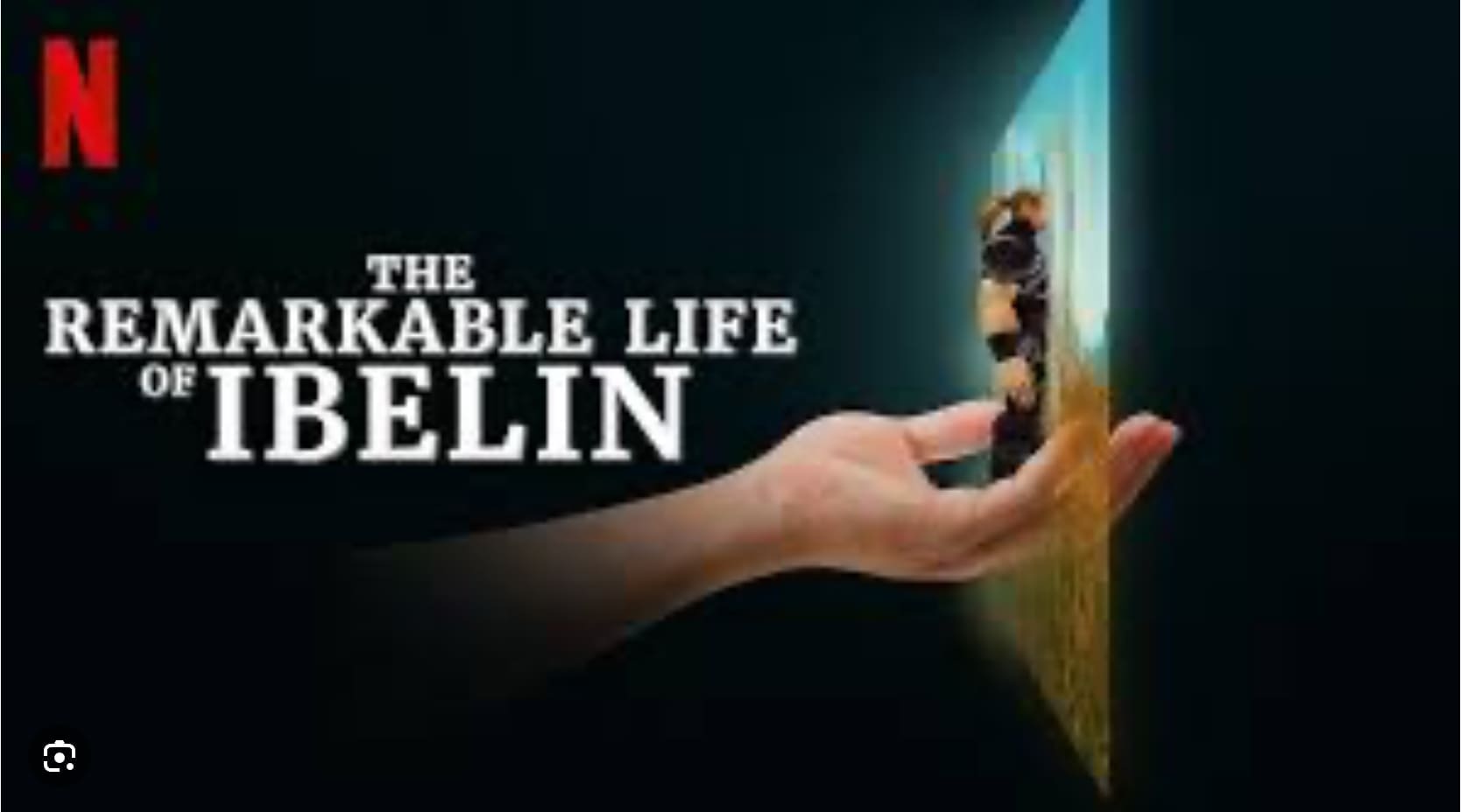 “The Remarkable Life of Ibelin”