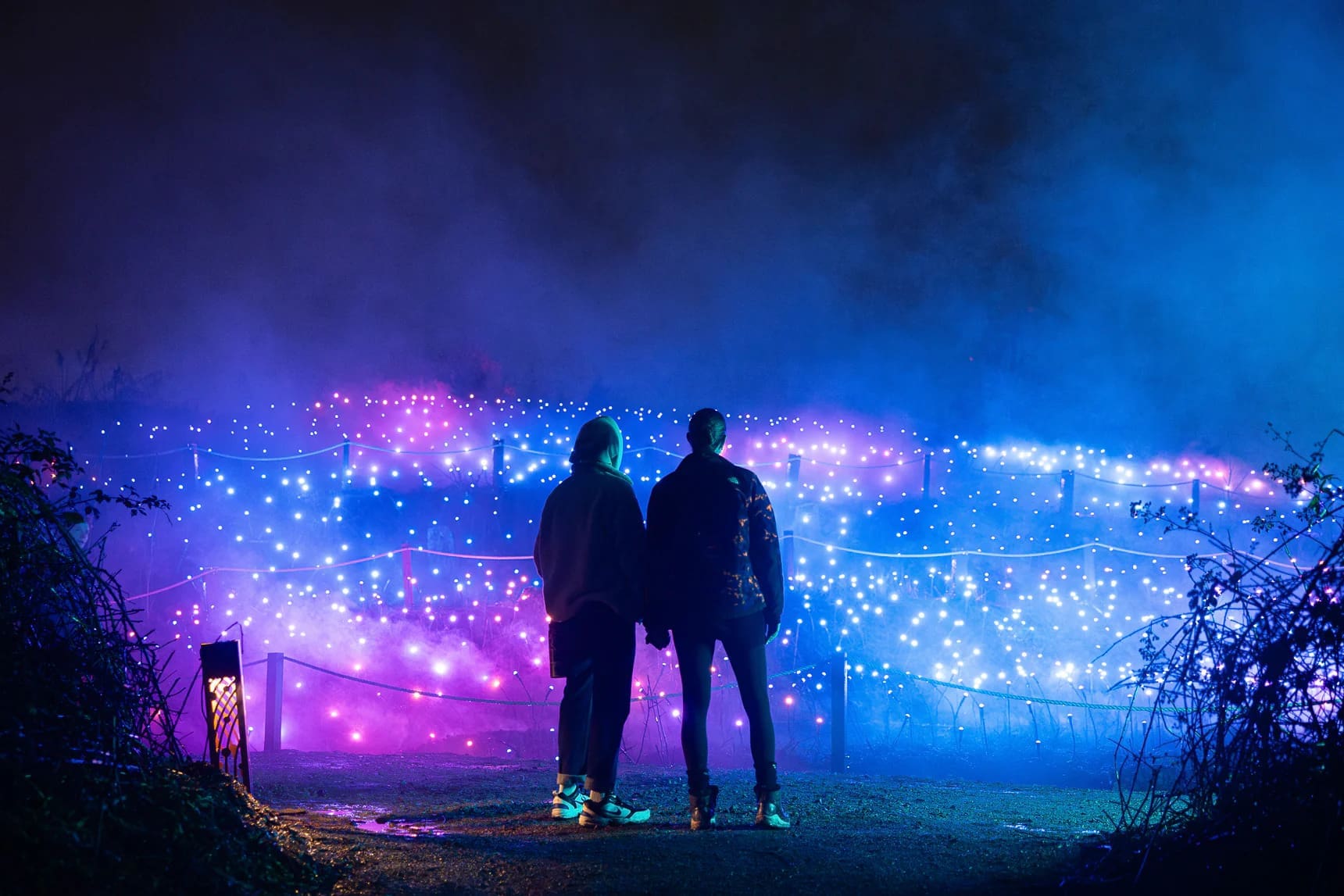 Astra Lumina best things to do in North Texas