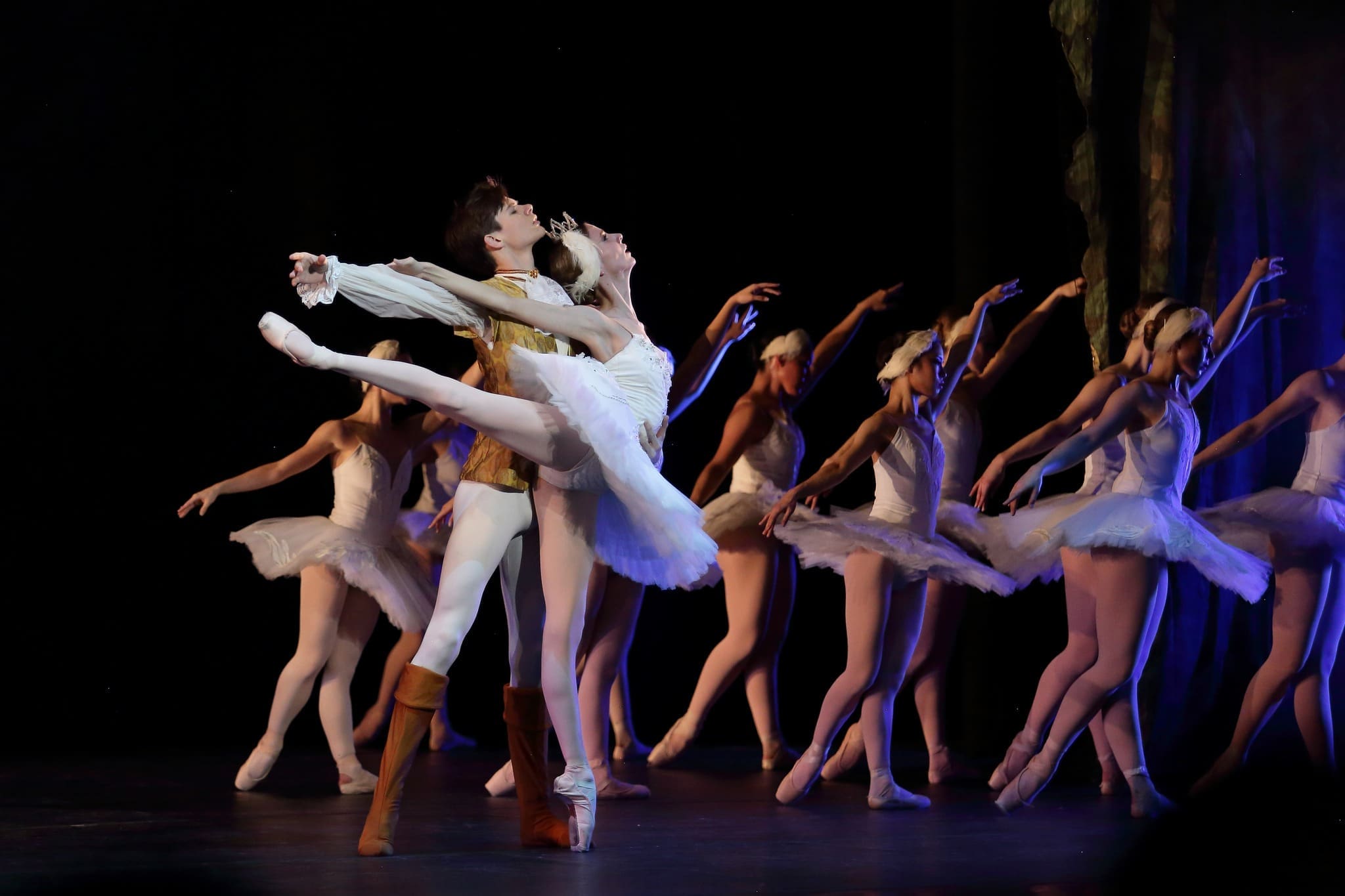 Swan Lake Fort Worth