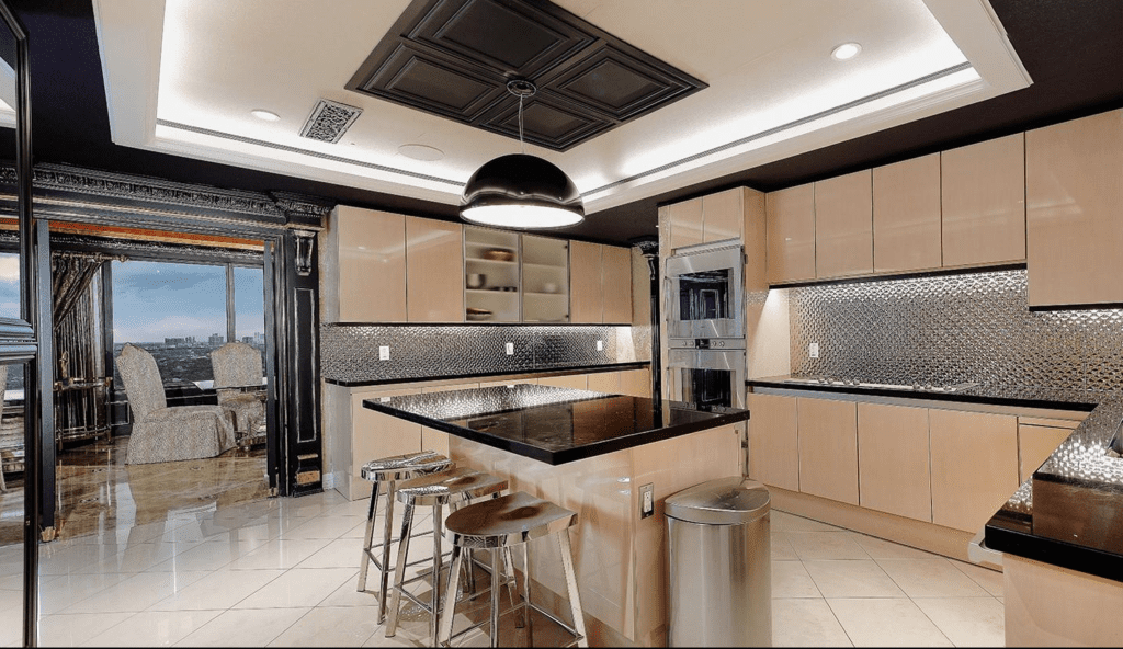 The sleek kitchen at 101 Westcott St. No. 2001