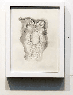 Janavi Mahimtura Folmsbee's "Surface Interval Graphite," 2018, was on display at Sound and Color: Water is for Everyone