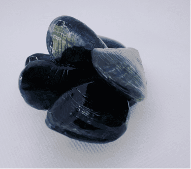 Janavi Mahimtura Folmsbee's "Mussels," 2024, was on display at Sound and Color: Water is for Everyone