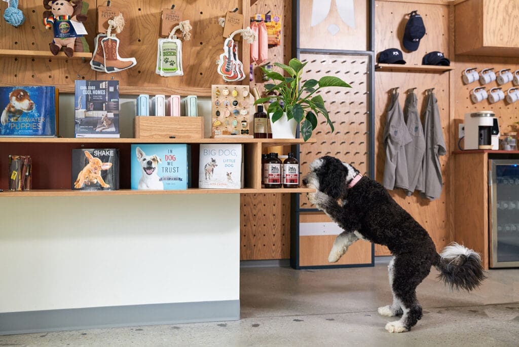 A Nashville-Based Luxury Pet Hotel Opens Its First Texas Location in Dallas