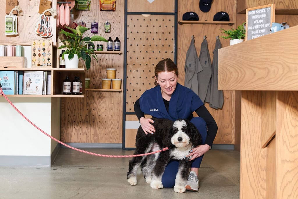 Yardstick aims to create a home-away-from-home for your pup. Trained "hosts" even supervise the "guests" overnight. (Photo courtesy of Yardstick) 