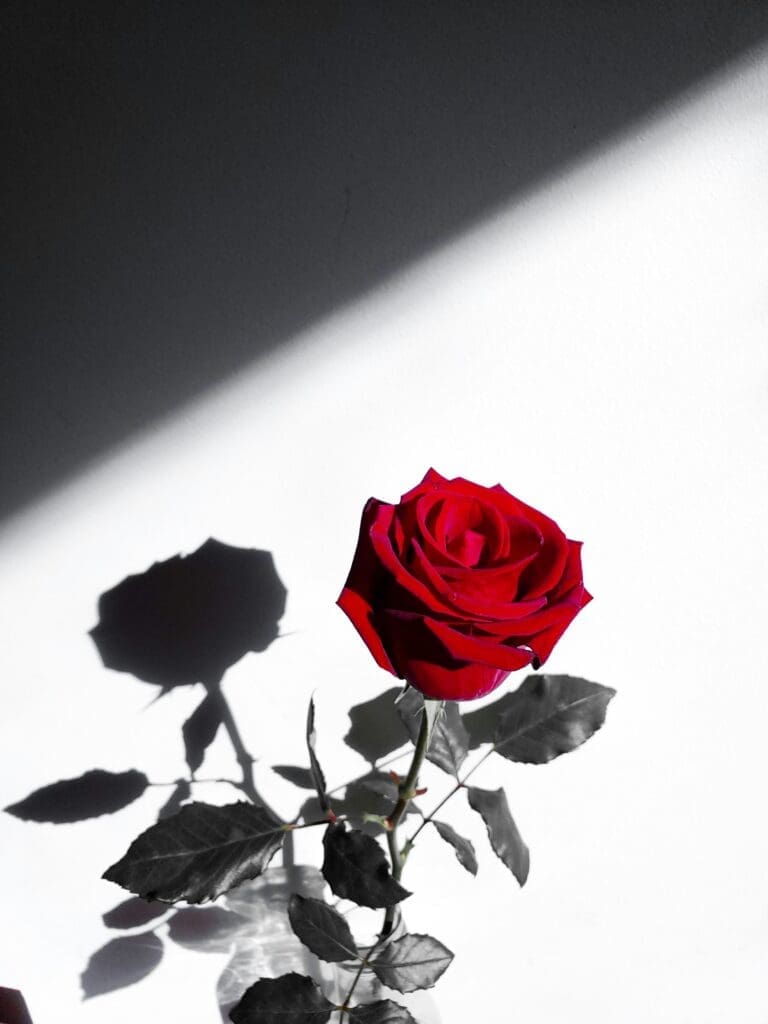 The 7 New Dating Trends to Know — A Modern Etiquette Expert’s Guide to Romance in 2025