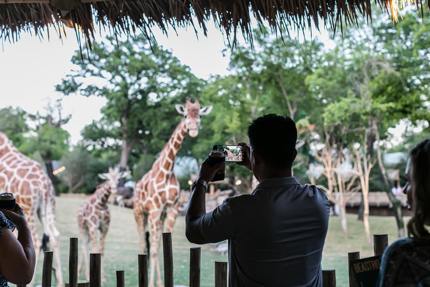 Fort Worth best things to do