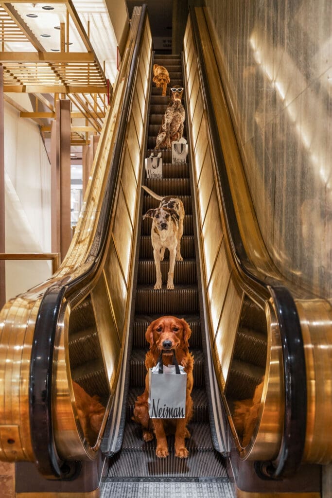 Gray Malin's "Escalator Ride, Neiman Marcus, Downtown Dallas" 2025 (Courtesy Gray Malin and Neiman Marcus © Gray Malin)
