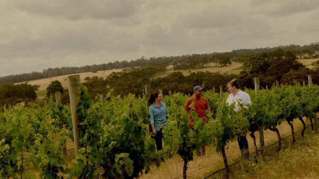 Xanadu's estate vineyards specialize in chardonnay, sauvignon blanc, and cabernet sauvignon.