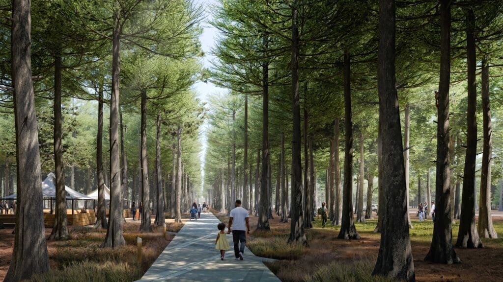 Speaking With The Trees — Houston’s Memorial Park Will Finally Live Up To Its Name With Sacred New $42 Million Memorial Groves Nature Land