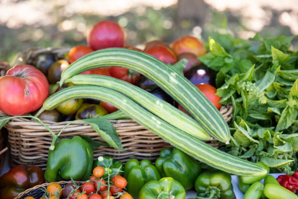 5 Gardening Tips For Success With Green Acres Nursery & Supply — A Horticultural Oasis in Dallas