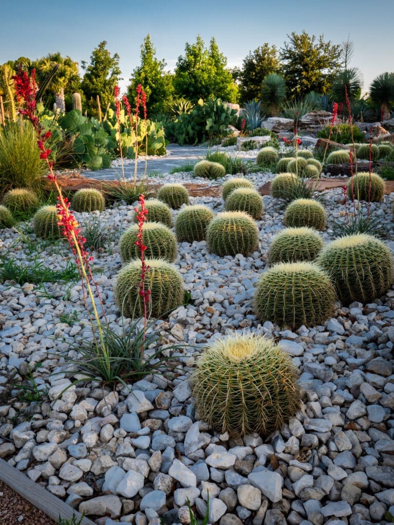 Global Collection Garden at Houston Botanic Garden (Photo Lance Childers)