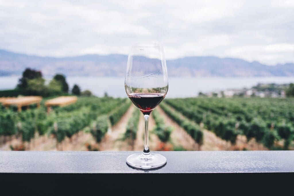 Top North Texas Wine Tastemakers Share Their Favorite Vinos — Lonesome Dove, Trick Rider, Soy Cowboy, and More Local Expert Picks