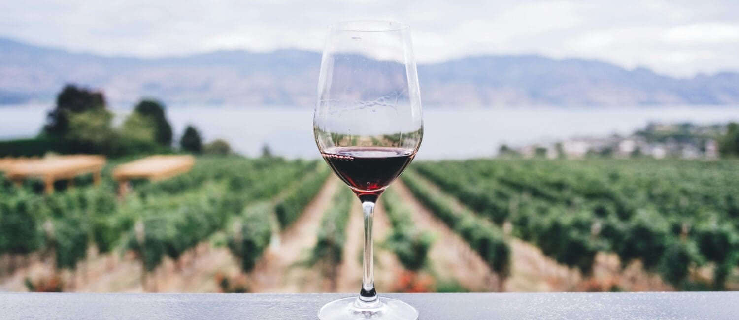 Wine