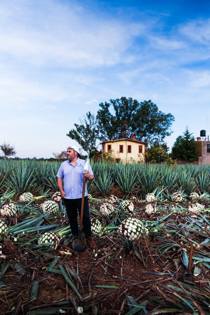 Before becoming the in-house tequila expert at one of the country’s biggest drinks distributors, Antinori had a wine-making apprenticeship in Tuscany. 