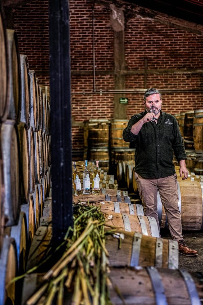 If Socorro Tequila sounds familiar, it’s probably because you’ve seen it as some of Dallas’ hottest spots. 