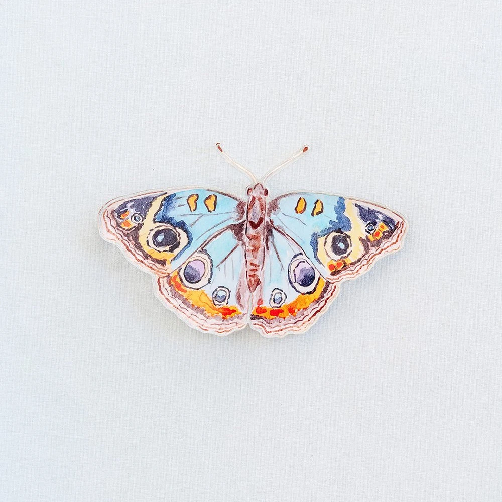 Catherine Cartie – Blue and Orange Butterfly Acrylic Art Block Large.