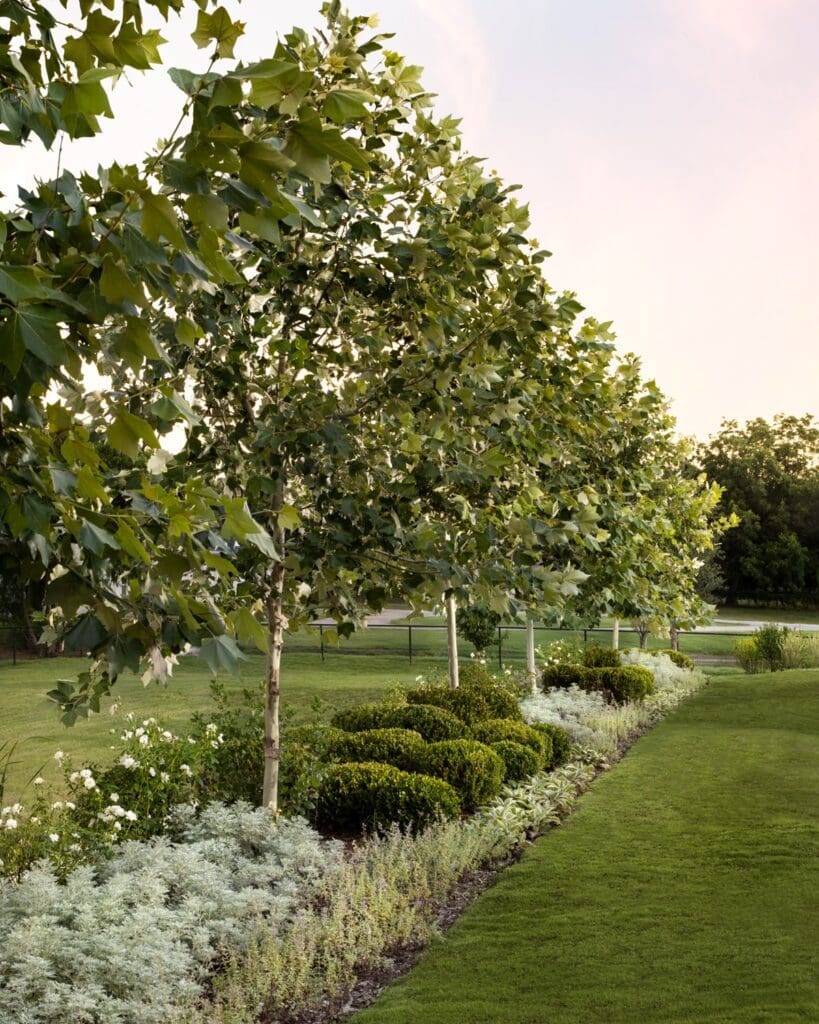 Houchard Design Group