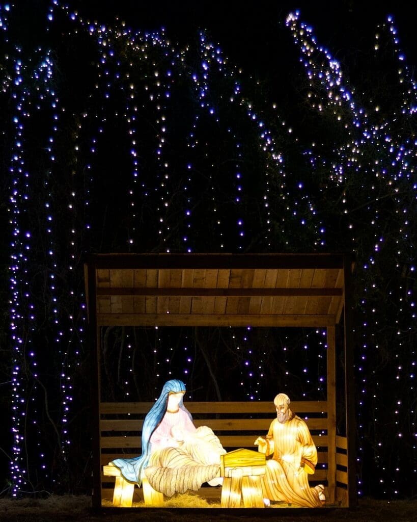 Festival of Lights nativity