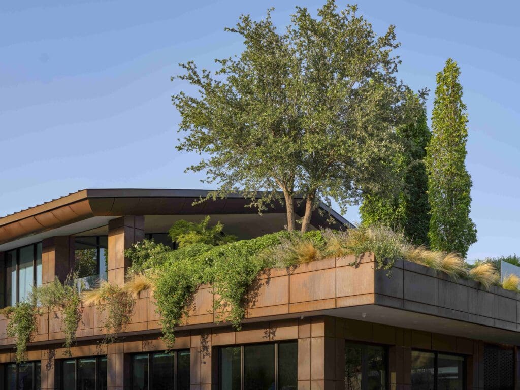 Lovers Lane Office, HOCKER