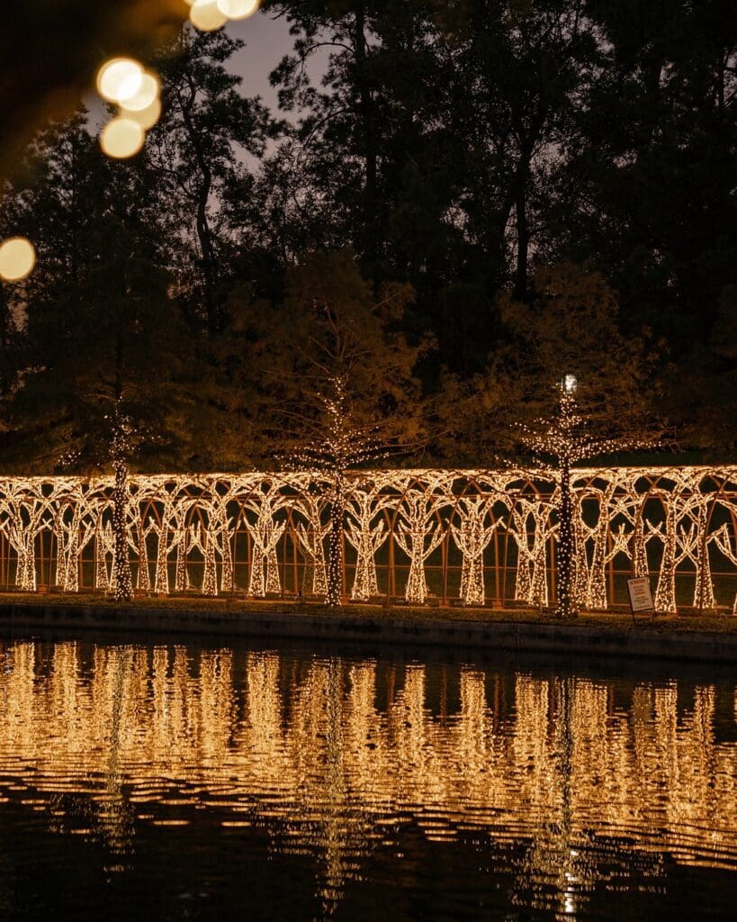 Don't miss the way The Waterway sparkles when it's lit up for the holidays. 