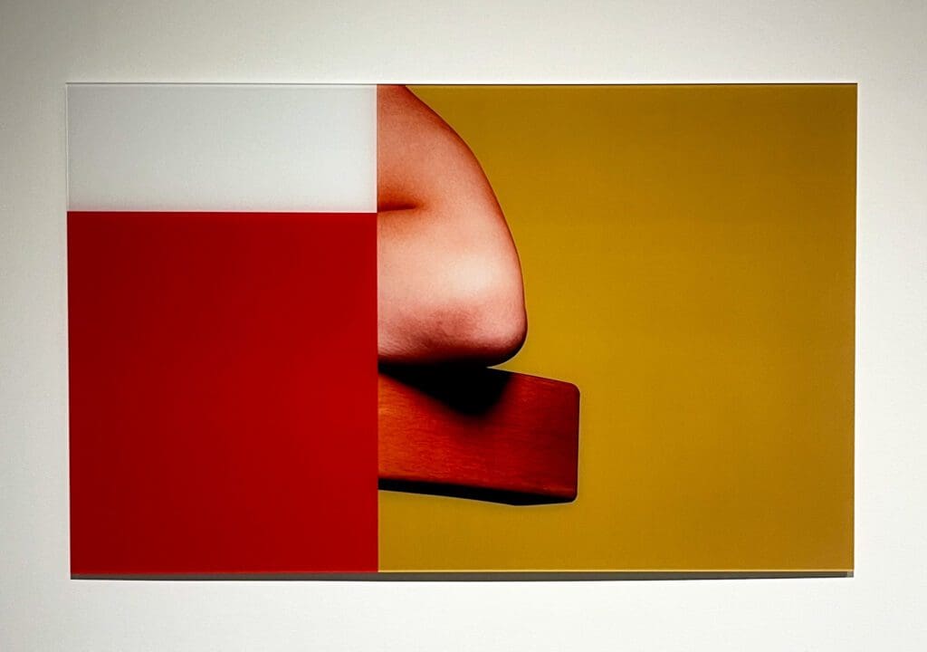 Tom Orr, “Lilly Series #9,” 2024, at Andrew Durham Gallery (Courtesy  Andrew Durham Gallery)