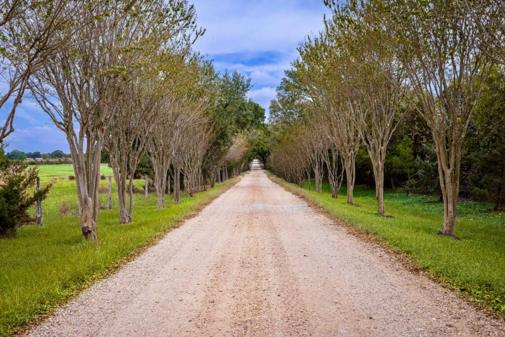 Crape myrtles and oaks line the gravel entry to 3100 Trail's End (Photo by Courtesy of Nan & Company Properties)