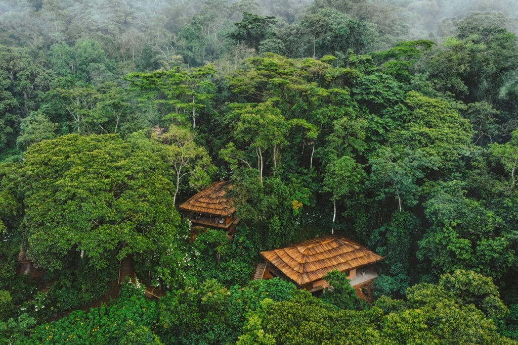 A stay at Gorilla Forest Lodge supports local conservation and community projects through A&K Philanthropy.