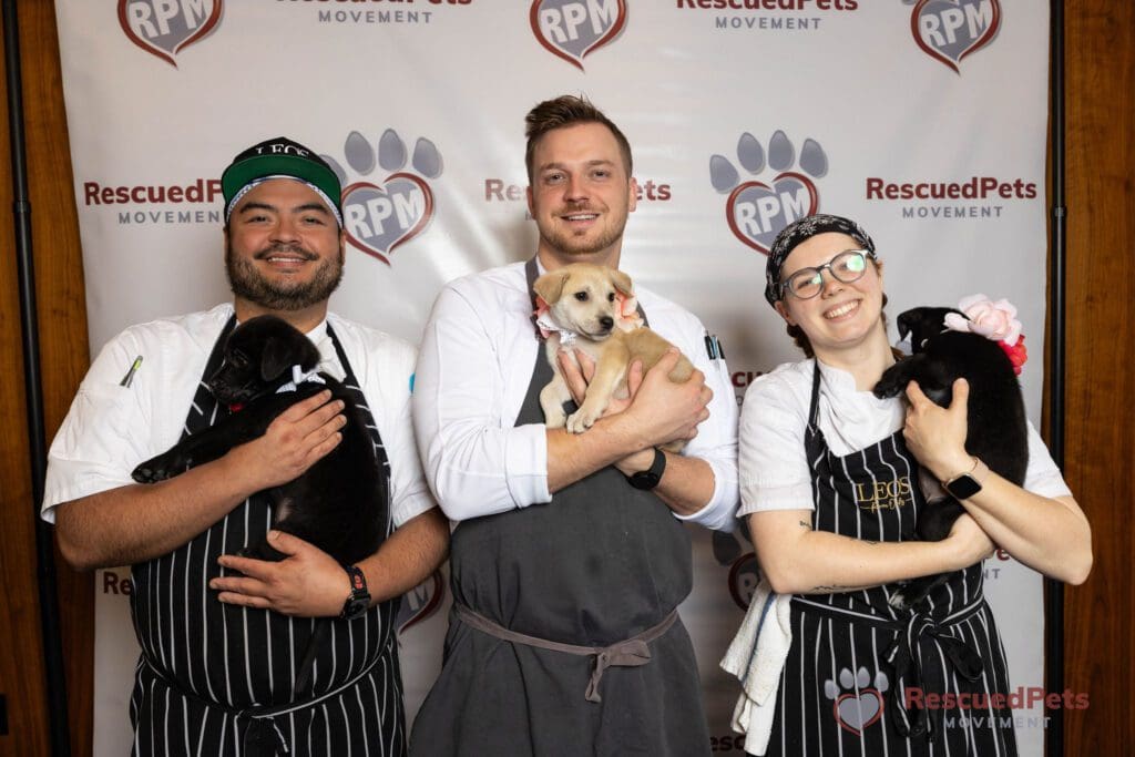 Houston’s Most Delicious Fundraiser Makes the City’s Best Chefs Want To Cook For Free — Why Chefs for Paws Means So Much