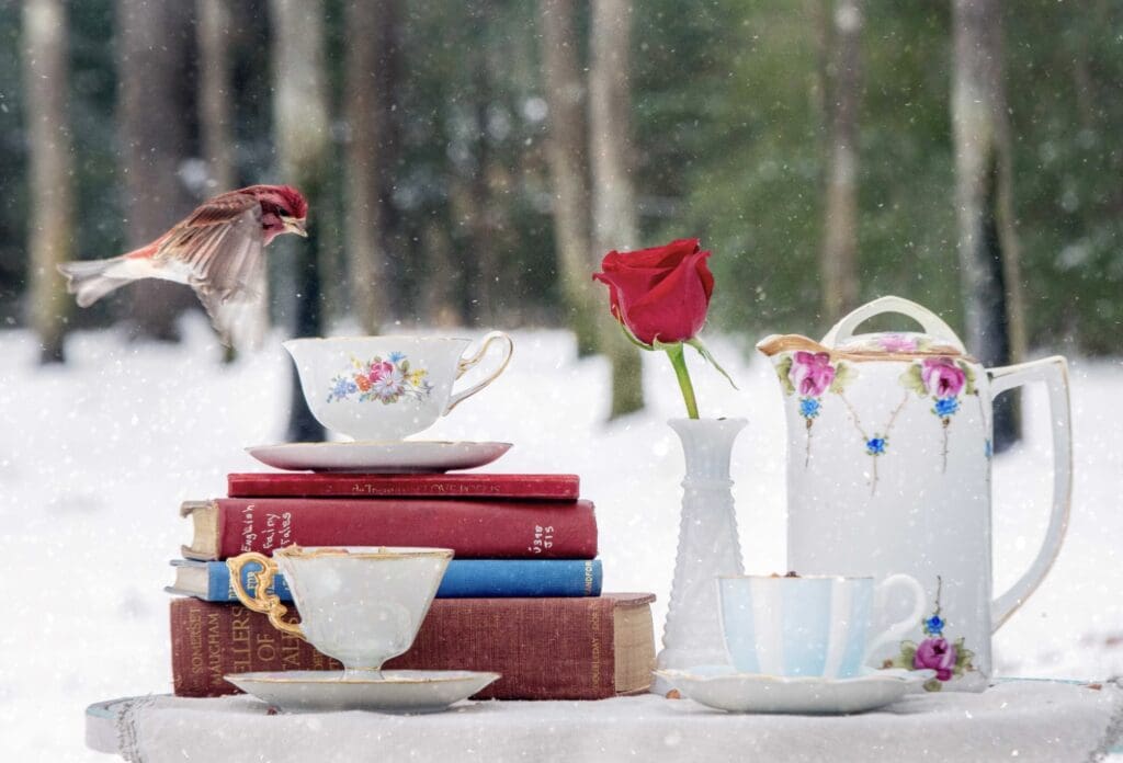 A photograph from Patti Gary’s series depicting birds at a winter tea party during a rare Texas snow. (Photo by Patti Gary)