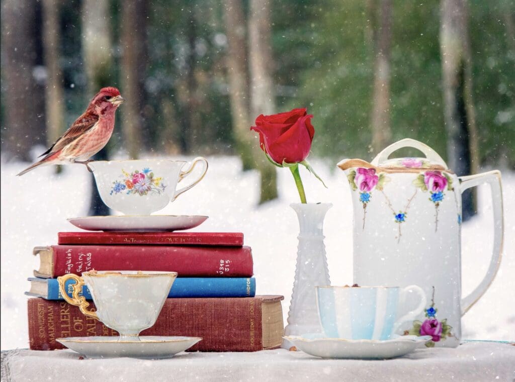 During a historic winter snow, Gary set this scene in her backyard and waited in 7 degree weather for birds to join it. (Photo by Patti Gary)