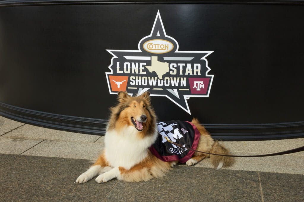 Texas A&M mascot Reveille at the Cotton Holdings Lone Star Showdown Tailgate  (Photo by Courtesy of Cotton Holdings)